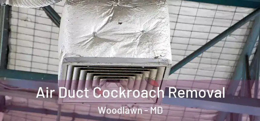  Air Duct Cockroach Removal Woodlawn - MD