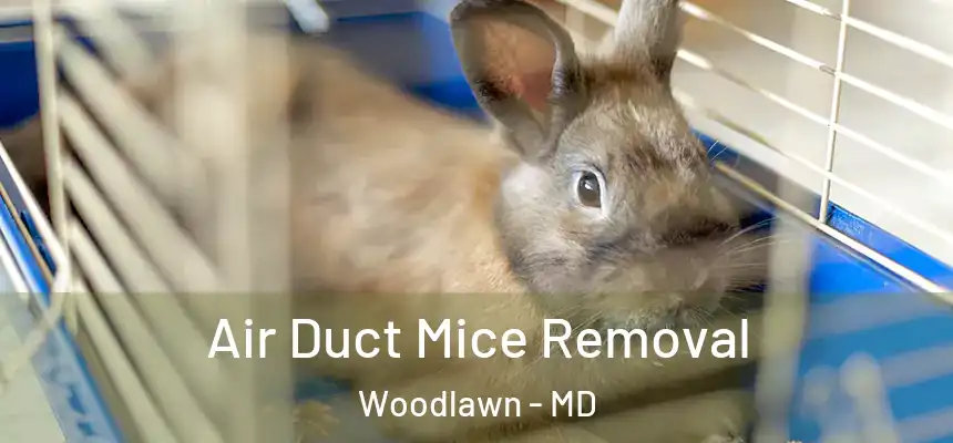  Air Duct Mice Removal Woodlawn - MD