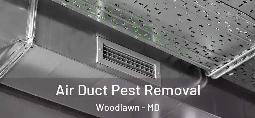 Air Duct Pest Removal Woodlawn - MD