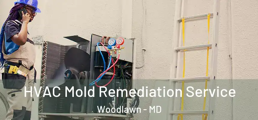 HVAC Mold Remediation Service Woodlawn - MD
