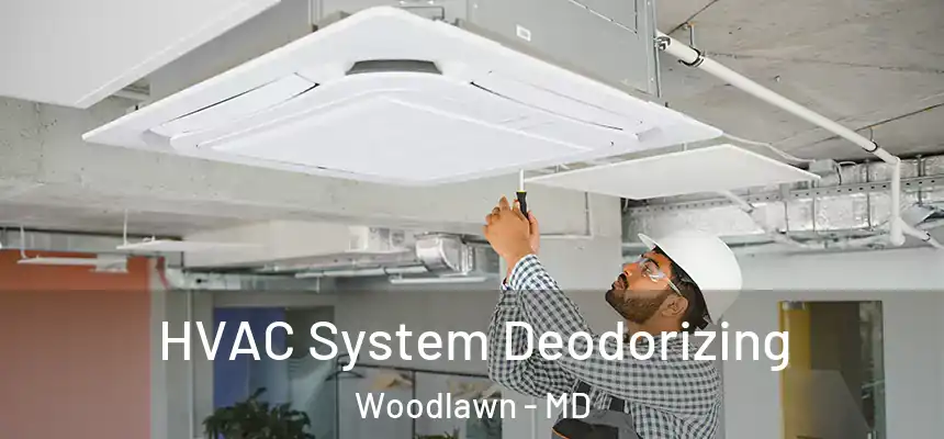  HVAC System Deodorizing Woodlawn - MD