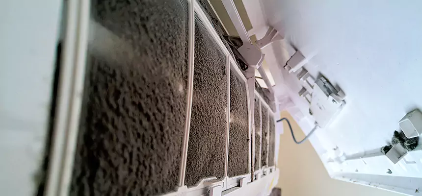 Preventive Air Duct Bacteria Removal in Woodlawn