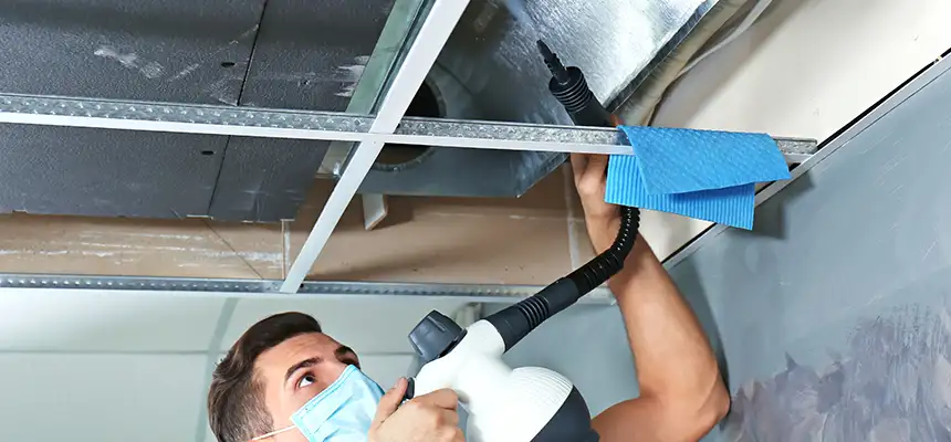 Our Air Duct Rodent Removal Services in Woodlawn, MD