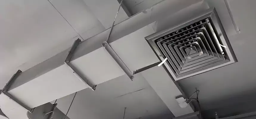 Restorative Allergy Relief Vent Cleaning – Coil, Blower & Housing Detail in Woodlawn