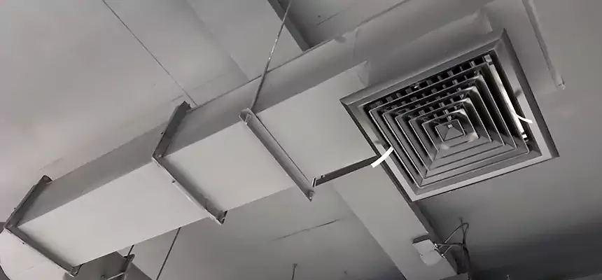 Our Pest Removal From Ducts Services in Woodlawn, MD