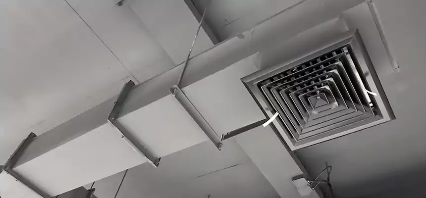 Our Rodent Droppings In Vents Services in Woodlawn, MD