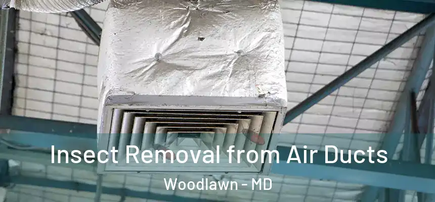 Insect Removal from Air Ducts Woodlawn - MD