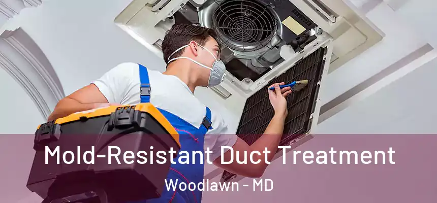Mold-Resistant Duct Treatment Woodlawn - MD