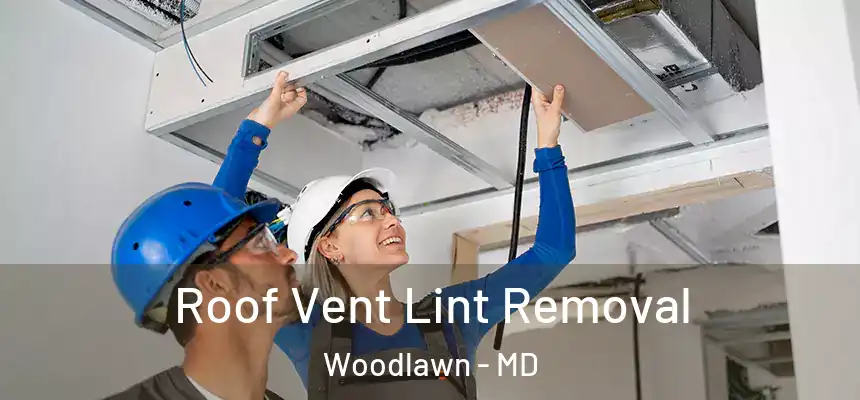 Roof Vent Lint Removal Woodlawn - MD