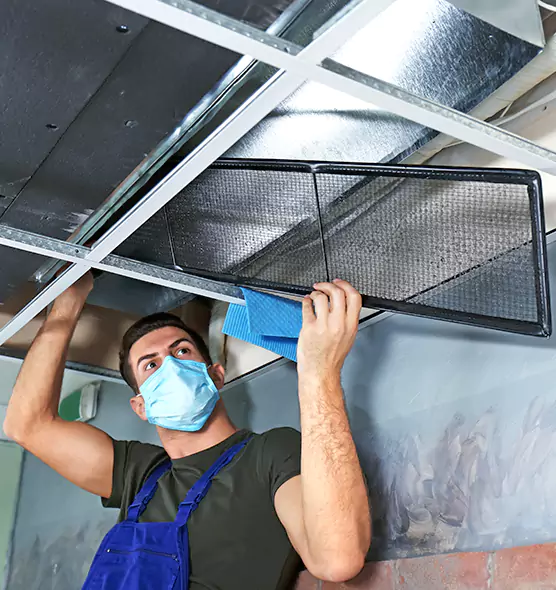 About Air Duct Bacteria Removal in Woodlawn