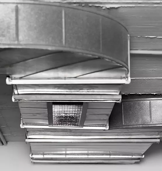 Professional Air Duct Pest Removal in Woodlawn, MD