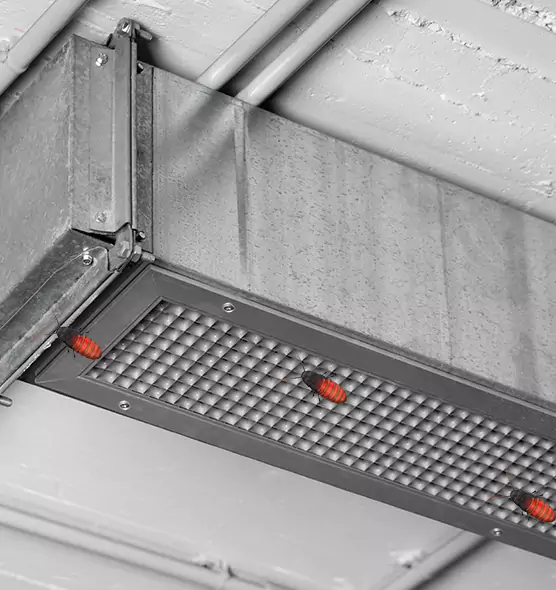 Affordable Insect Removal from Air Ducts in Woodlawn, MD