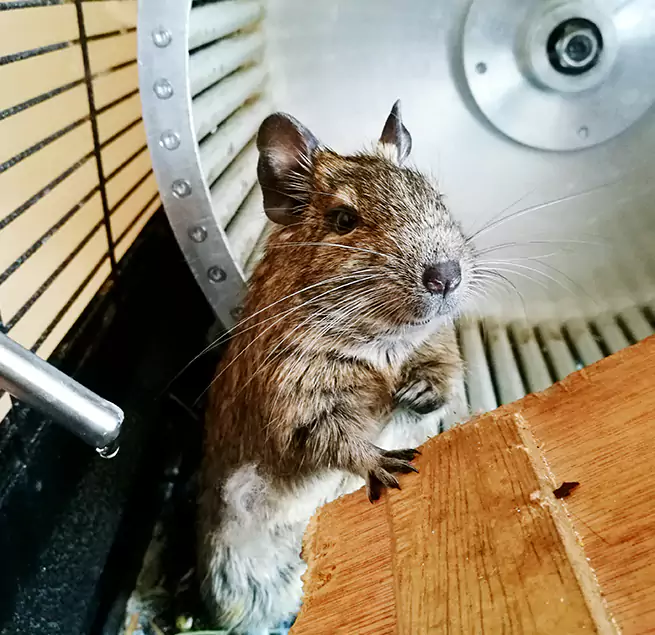 Why Homeowners & Businesses Trust Us Woodlawn, MD