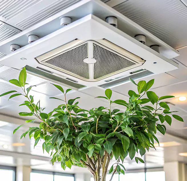 Why Homeowners & Businesses Trust Us in Woodlawn, MD?