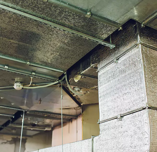 Why Homeowners & Businesses Trust Us in Woodlawn, MD?